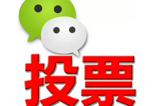 浙江省微信投票功能开发 上传图片投票